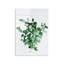 Boze Wall Decor
