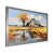 Silver Single Picture Framed