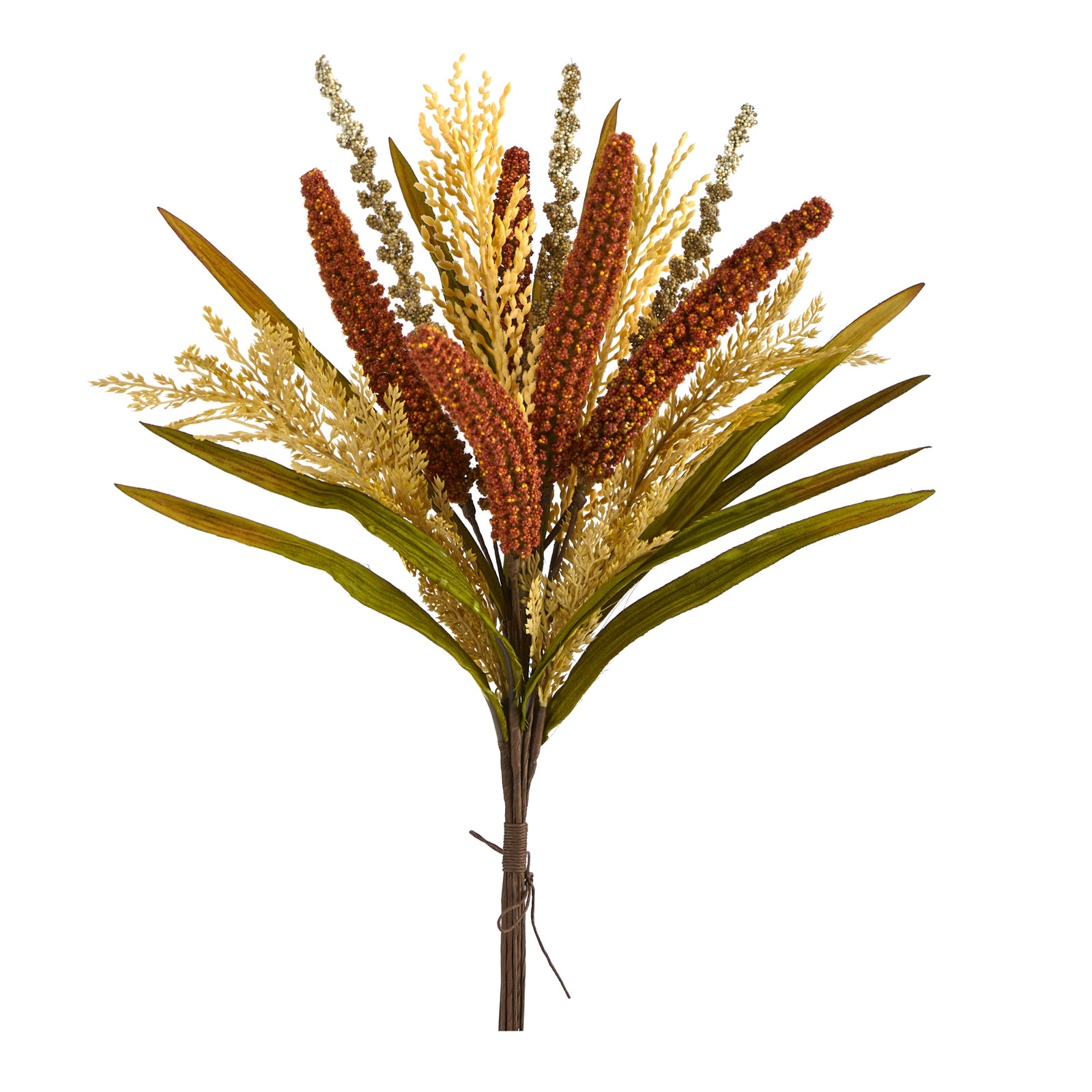 Sorghum Arrangement