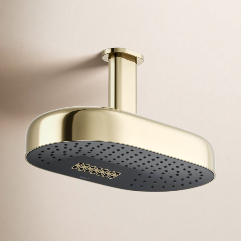 Statement Oblong 14 in. Two-Function 1.75 Gpm Rainhead With Katalyst Air-Induction Technology, Vibrant French Gold
