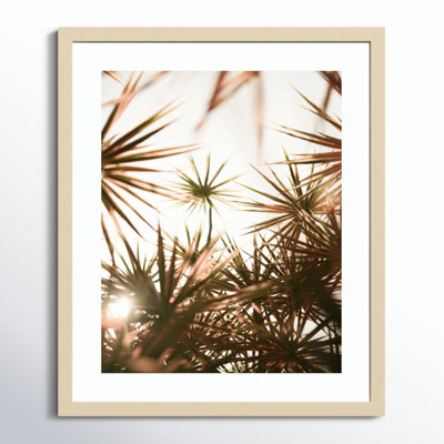 Daisey "Starlight Through Palms" Print