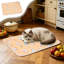 Tapis de couchage respirant 27,6 x 19,7 po Pet Ice Pet Pet pour chats jusqu'à 33 lb, orange-131215307