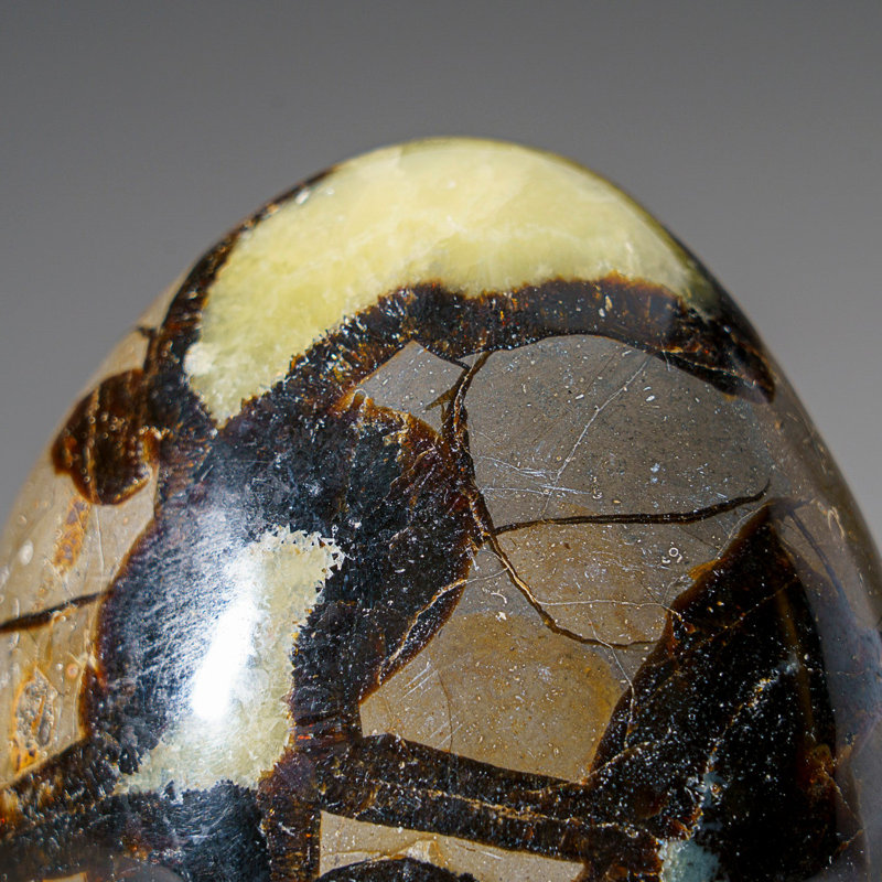 Polished Septarian Freeform From Madagascar (1.9 Lbs)