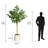 Artificial Ficus Tree in White Decor Pot-1084028229