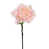 Rose sélectionné