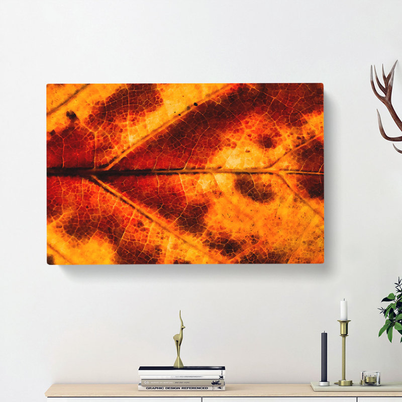 Leaf In The Autumn - Wrapped Canvas, 40cm H x 60cm W x 3cm D