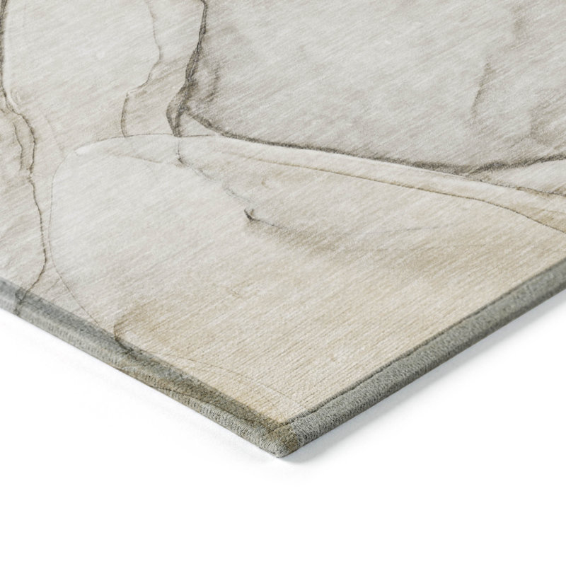 Alfonzo Washable Abstract Indoor / Outdoor Rug, Rectangle 10' x 14'