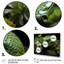 «Snake Serpentine Whispers», reproduction d'art sur toile-1265321044-1265321045