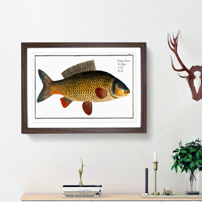 Carp Fish by M.E. Bloch - Picture Frame Graphic Art Print