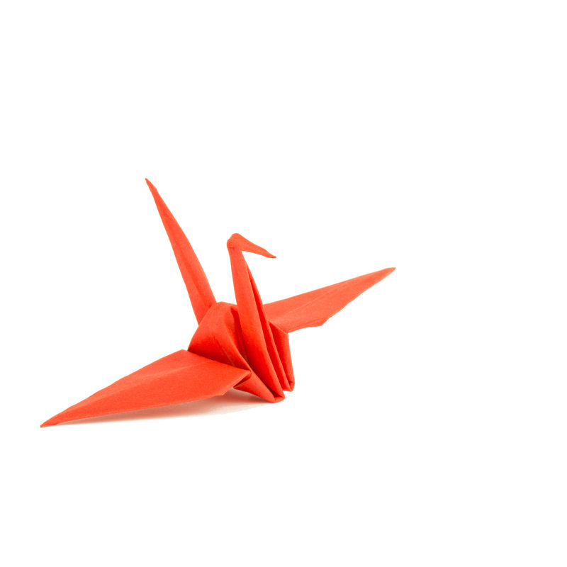 Bird In Origami by Gianliguori - Wrapped Canvas Print, 61cm H x 91cm W x 3.8cm D