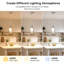 1 - Light Glass Single Pendant Light-2035100043