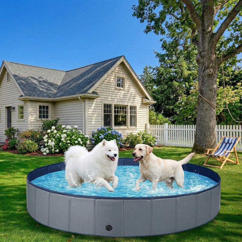 Hard Plastic Kiddie Pool for Large Dogs, Foldable Dog Bathing Tub, Portable Outdoor Swimming Pool for Pets & Kids