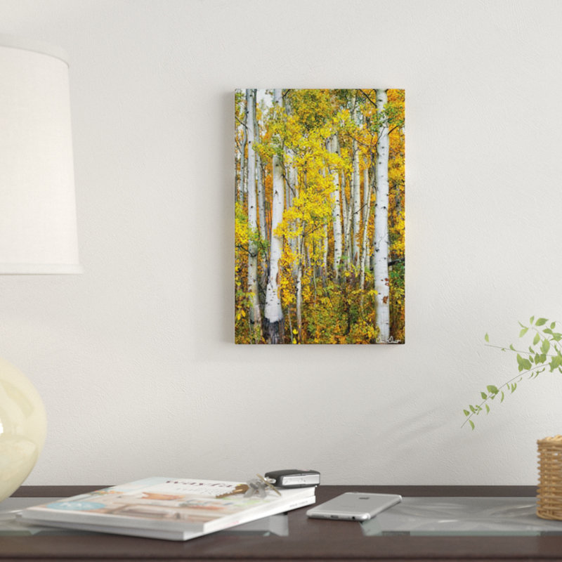 «Yellow Woods V», reproduction sur toile, H 12 po x l 8 po x P 0,75 po, Toile tendue, Pas de tapis