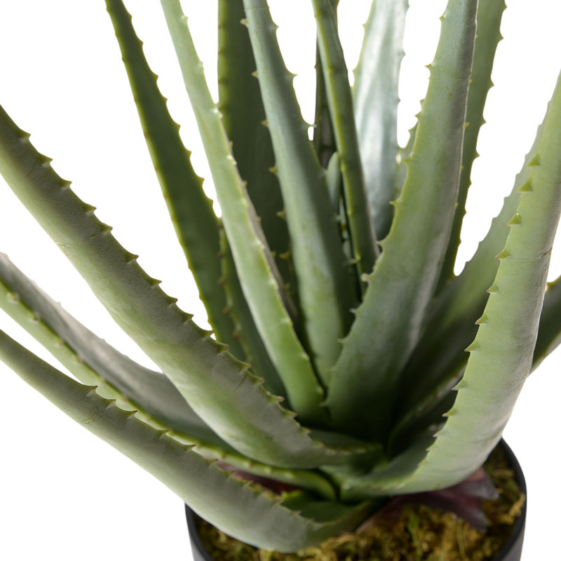 45 cm H Faux Aloe Plant in Ceramic Planter