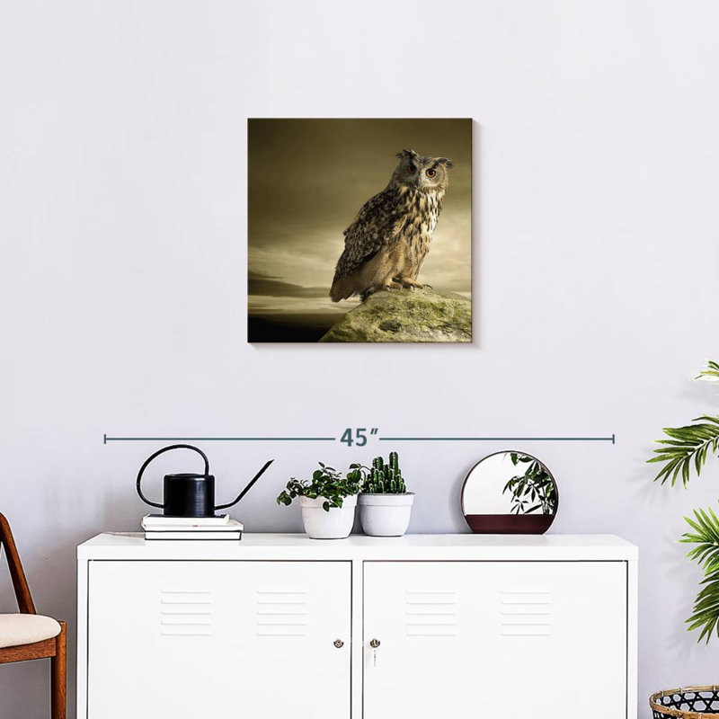 Brampt Owl On A Rock, 20" H x 20" W