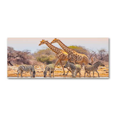 Giraffes And Zebras - Wrapped Canvas Print
