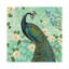 Peacock Arbor VI 1 Piece Floater Frame Wall Art on Canvas-42160847-56677556