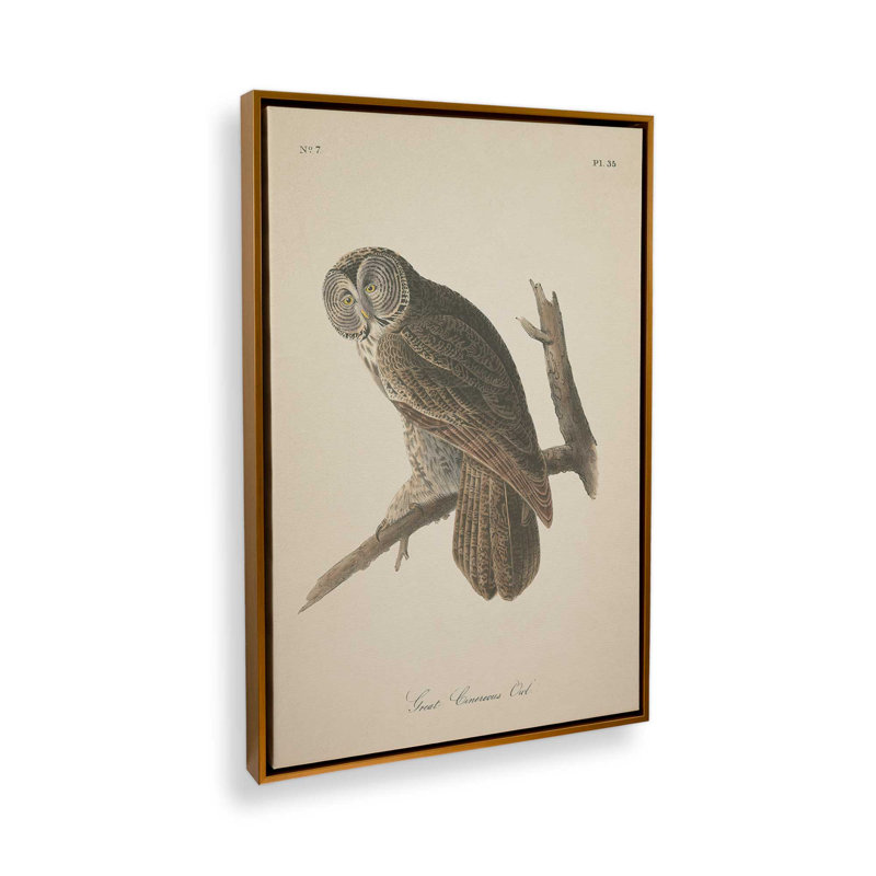 1 - Hibou perché imprimé sur toile roulée, Cadre doré, H 18,75 po x l 12,75 po x P 1,75 po