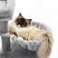 Tour pour chat 28,5 po de hauteur-117069132
