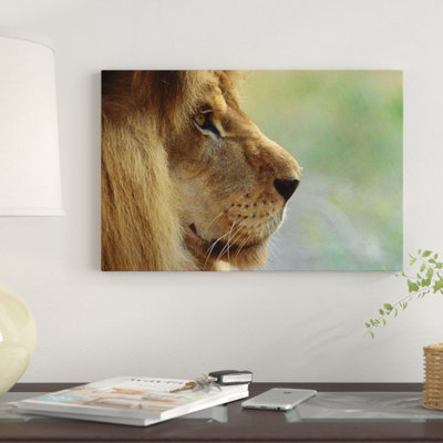 « africain lion masculin portrait », reproduction de photo sur toile