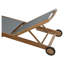 Parmele Outdoor Teak Chaise Lounge