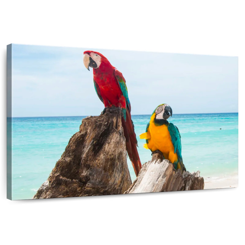 Brampt Resting Macaws, 34" H x 51" W