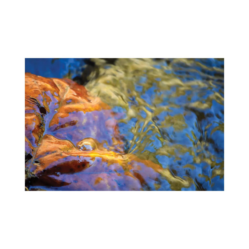 Venus 1 Piece Wrapped Canvas Wall Art, 20.32 cm H x 30.48 cm W