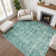 Premium Machine Washable Verlin AMF1771 Global Rug