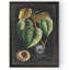 « royal feuillage i » par paul cezanne-photo-cadre, reproduction d’art-1507688404-1507688405