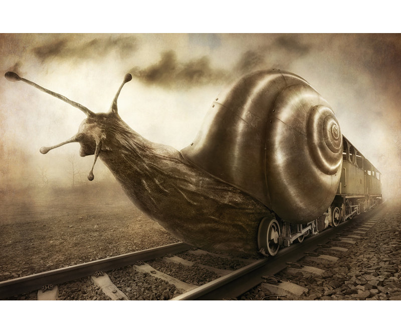 Wrapped Canvas Print, 81.28 cm H x 121.92 cm W