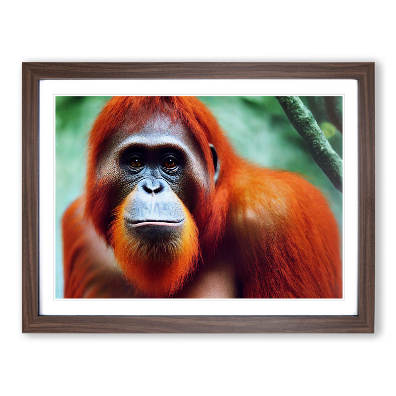 Electrifying Orangutan - Single Picture Frame Print, 25cm H x 34cm W x 2cm D, Walnut 