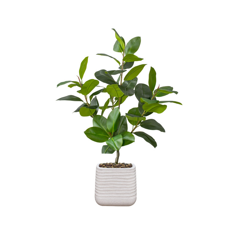 Hévéa artificiel en pot 60,57 ", Blanc