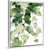 White Framed Canvas is unavailable
