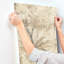 Papier peint Mistwood Coffee Forest-119797066