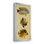 Trio de poissons tropicaux II - peinture sur toile encadrée-1891002659-1891002657