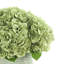 Hortensias disposés dans un vase en céramique