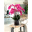 Orchidée en fleurs dans un vase-68766511