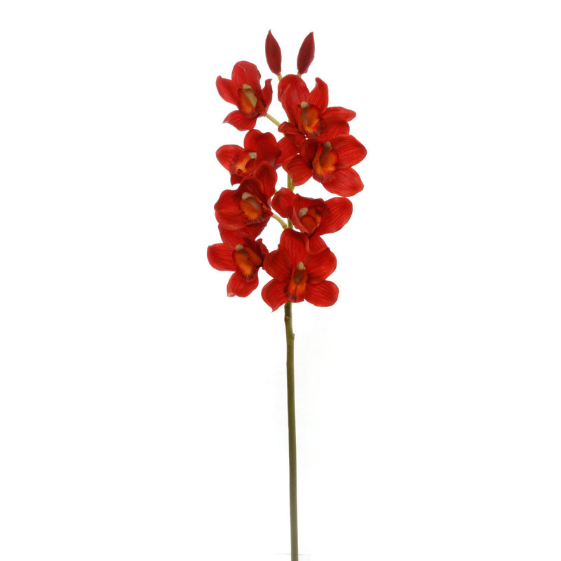 Tige en cymbidium de 30 po de hauteur avec 10 fleurs, Rouge, 4