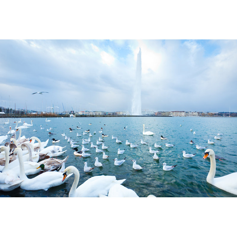 Birds On Lake Geneva by Xenotar - Wrapped Canvas Print, 30cm H x 46cm W x 3.8cm D