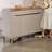 Luxury Style Fashion Storage Shoe Cabinet-790188916