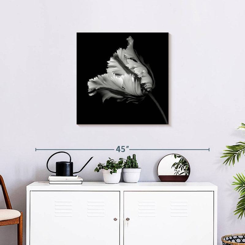 Harnek BW Parrot Tulip