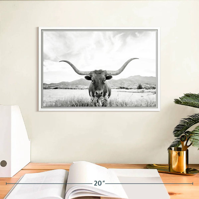 Longhorn Texas BW, Cadre flottant blanc, 13 po x 9 po