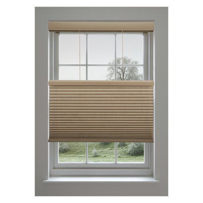 Cordless Cellular Top Down Bottom Up Light Filtering Shade (Arrives 1/4" Narrower)