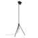 Alexa 56'' Tripod Floor Lamp