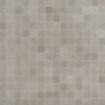 New Rock 2X2 Matte Porcelain Mosaic