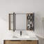 Armoire de salle de bain avec miroir et rangement