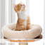 Tomball 117cm H Cat Tree