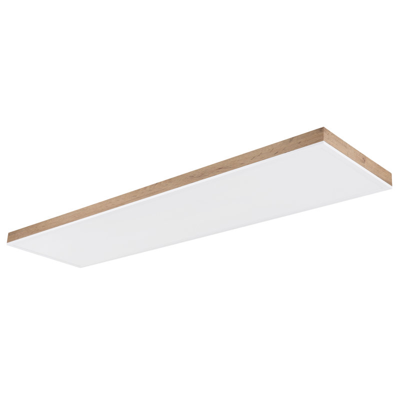Ason Plastic LED Flush Mount
