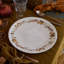 Plymouth Stoneware Dinner Plate