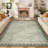 Area Rugs for Living Room Washable Rugs Non Slip Stain Resistant Bordered CarpetFoldable Rugs for BedroomDining RoomNursery-1091369612-1091369615
